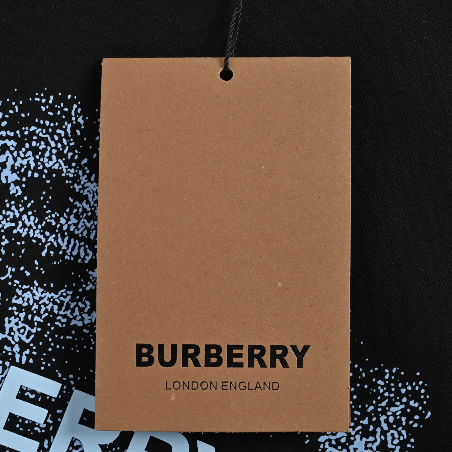 Burberry/巴宝莉 25Fw 模糊战马字母圆领卫衣