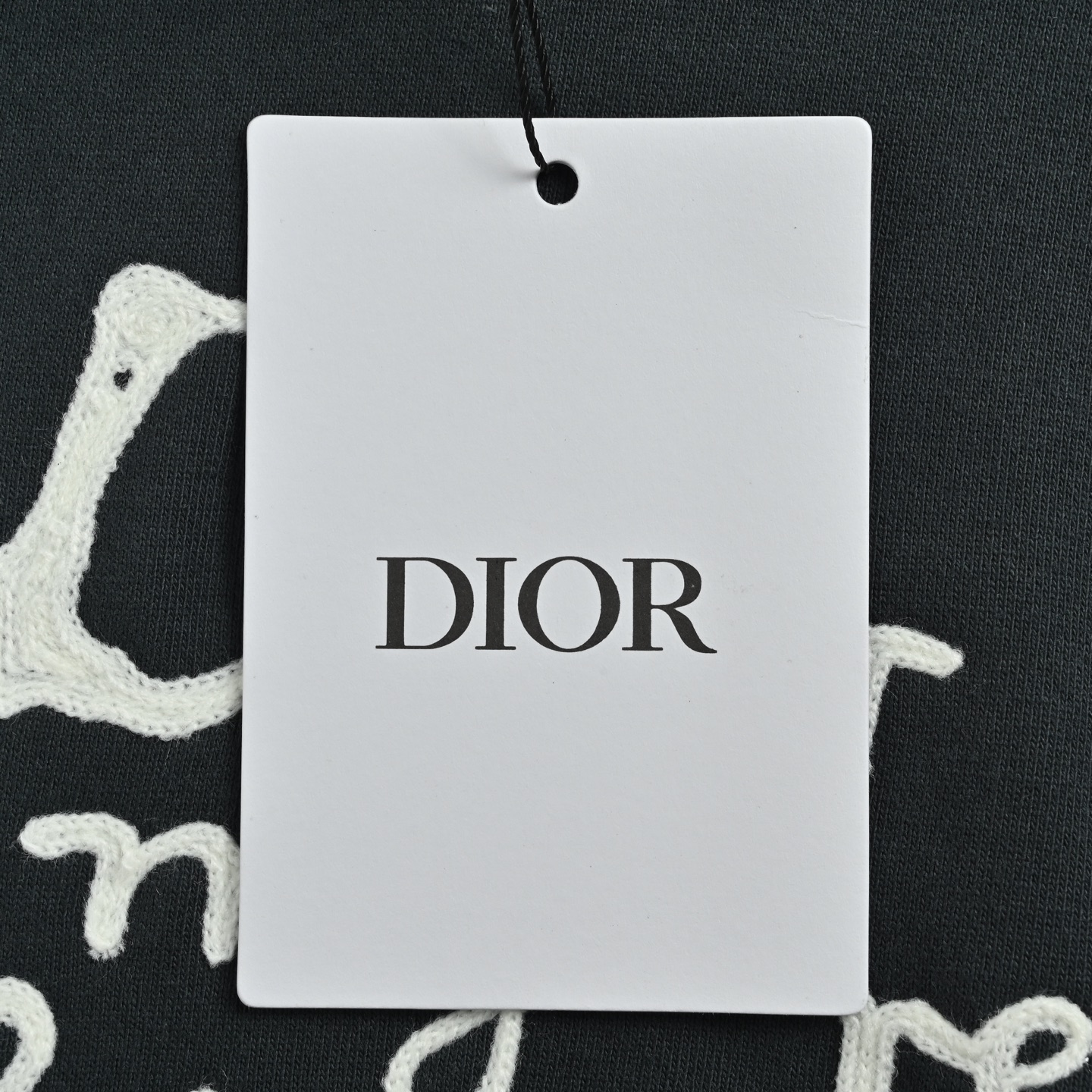 Dior/迪奥 25Fw 毛巾绣字母logo刺绣连帽卫衣