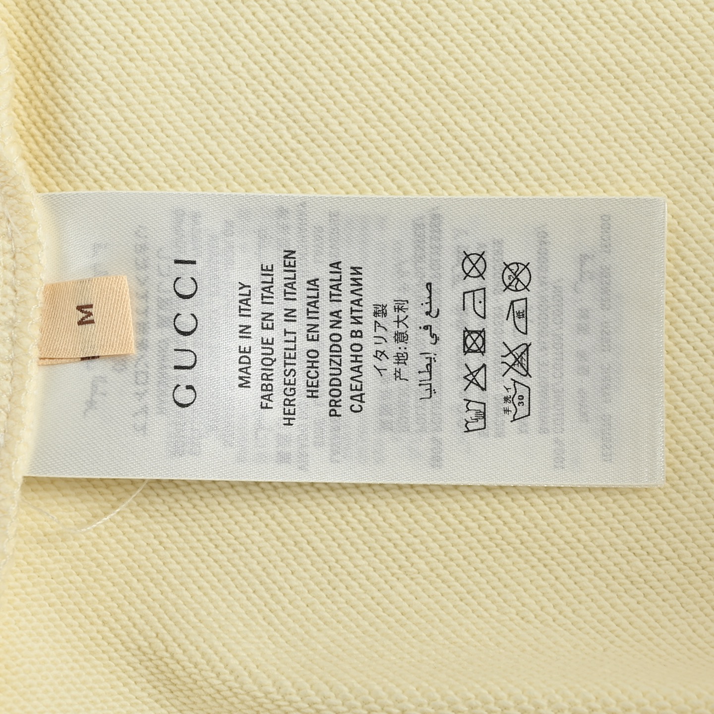 Gucci/古驰 松鼠印花圆领卫衣 GUCCI 25SS秋冬新款 松鼠印花