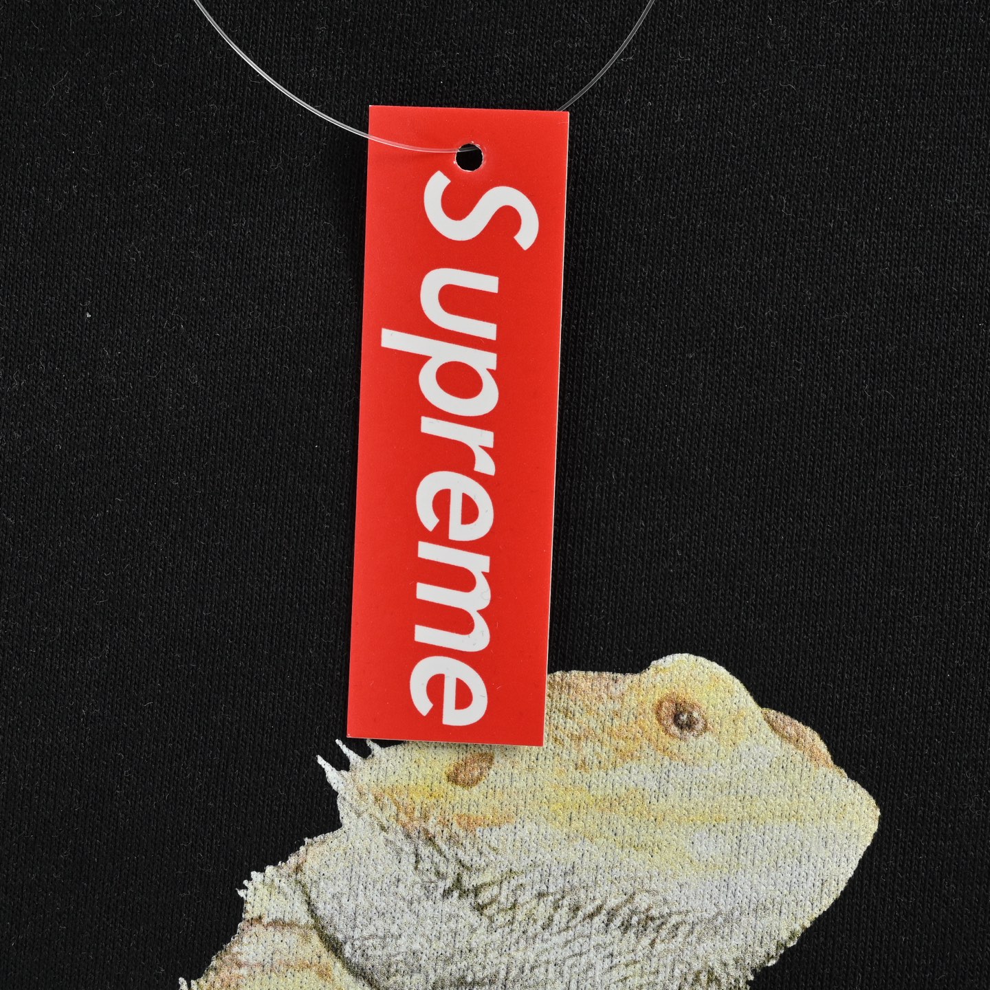 Supreme Lizard Tee 蜥蜴图案logo圆领卫衣 黑色