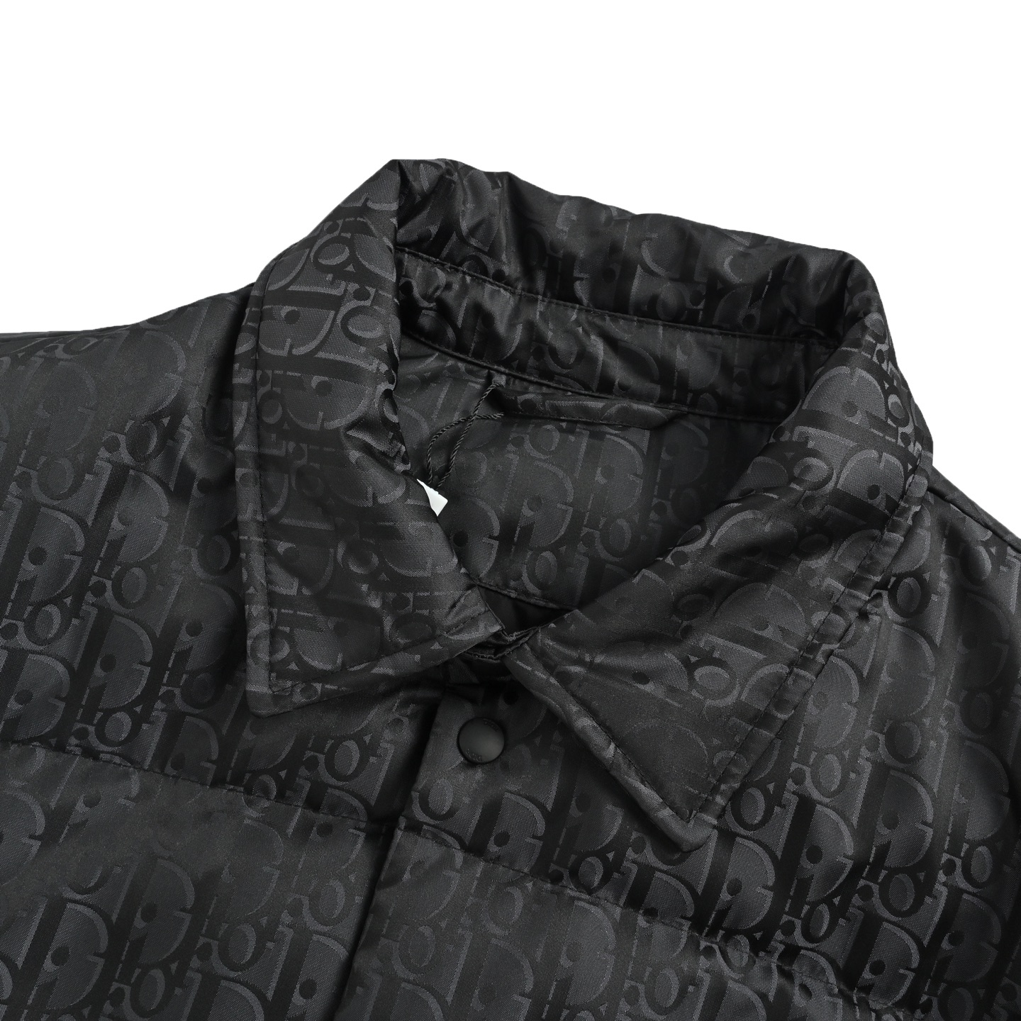 Dior/迪奥 25Fw 新面料老花提花翻领羽绒服