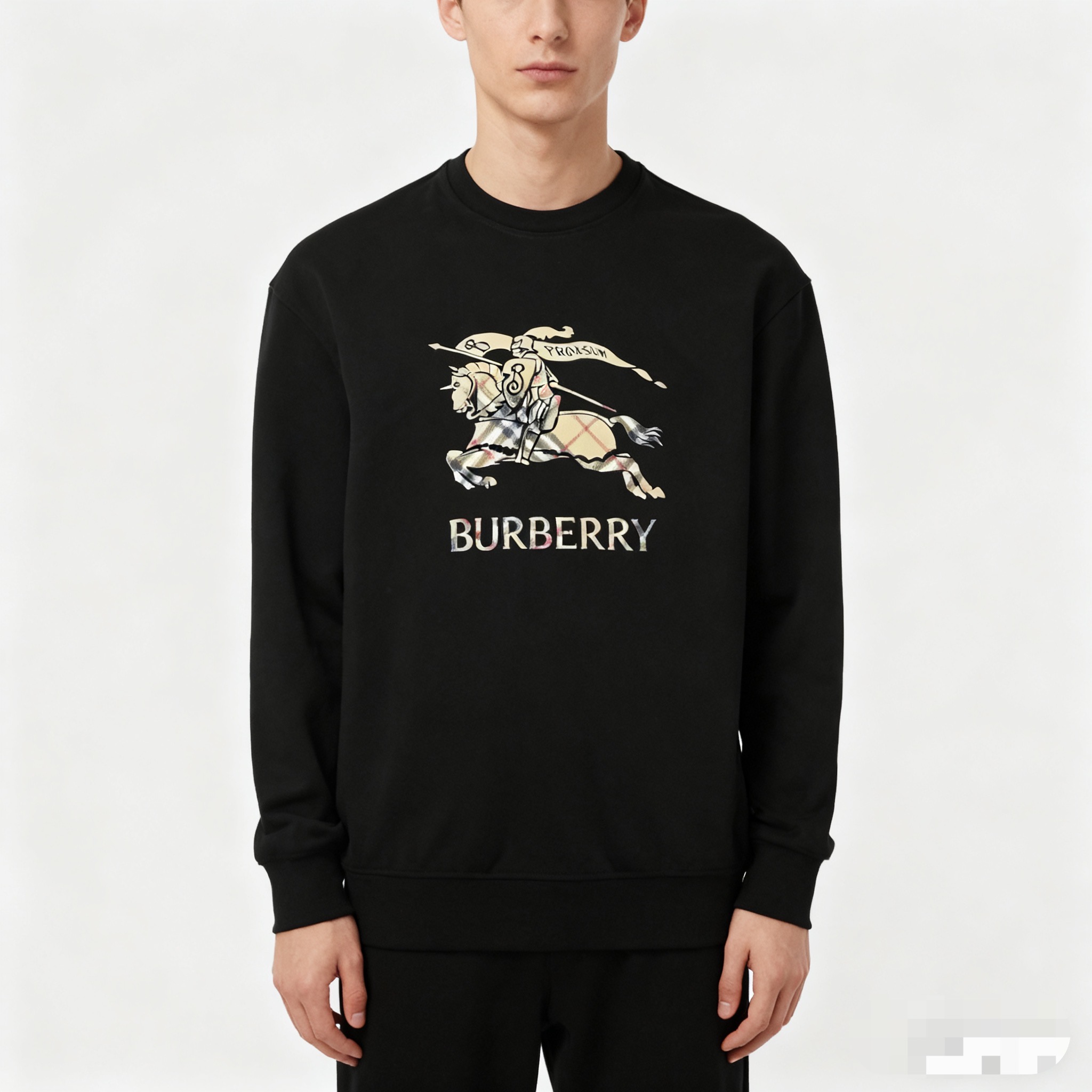 #Burberry/巴宝莉25Fw 格纹战马印花圆领卫衣上身效果