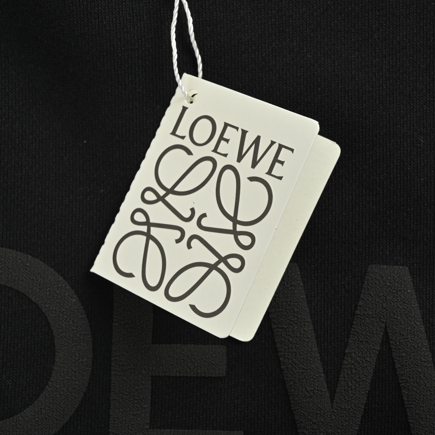 Loewe/罗意威 25Fw 发泡印花圆领卫衣