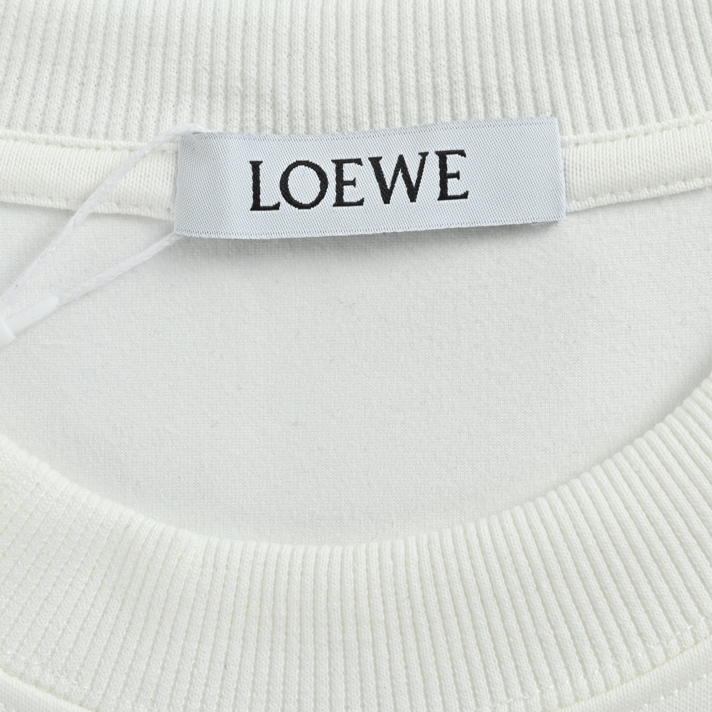 Loewe/罗意威 25Fw 海浪logo印花圆领卫衣