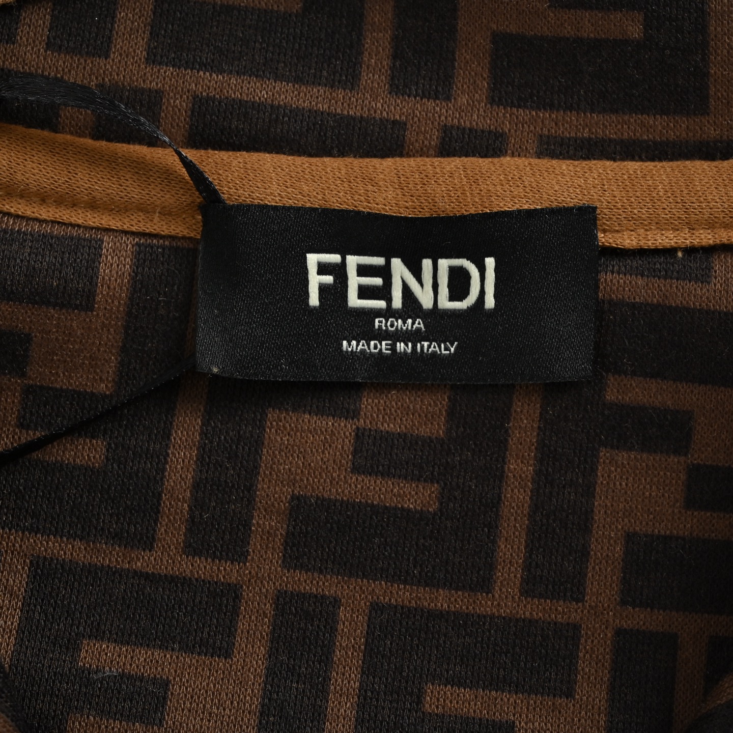 Fendi/芬迪 FF刺绣连帽卫衣 定制双层奢柔空气棉 进口机立体绣