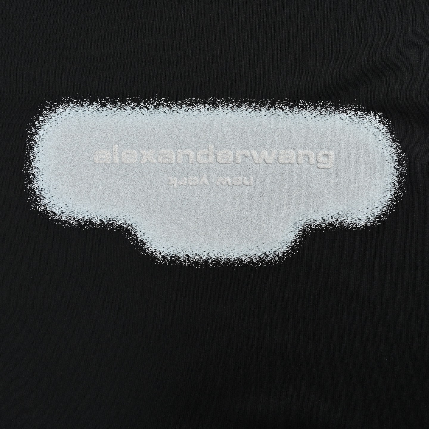 Alexander Wang 亚历山大王 25Fw 阴影字母圆领卫衣