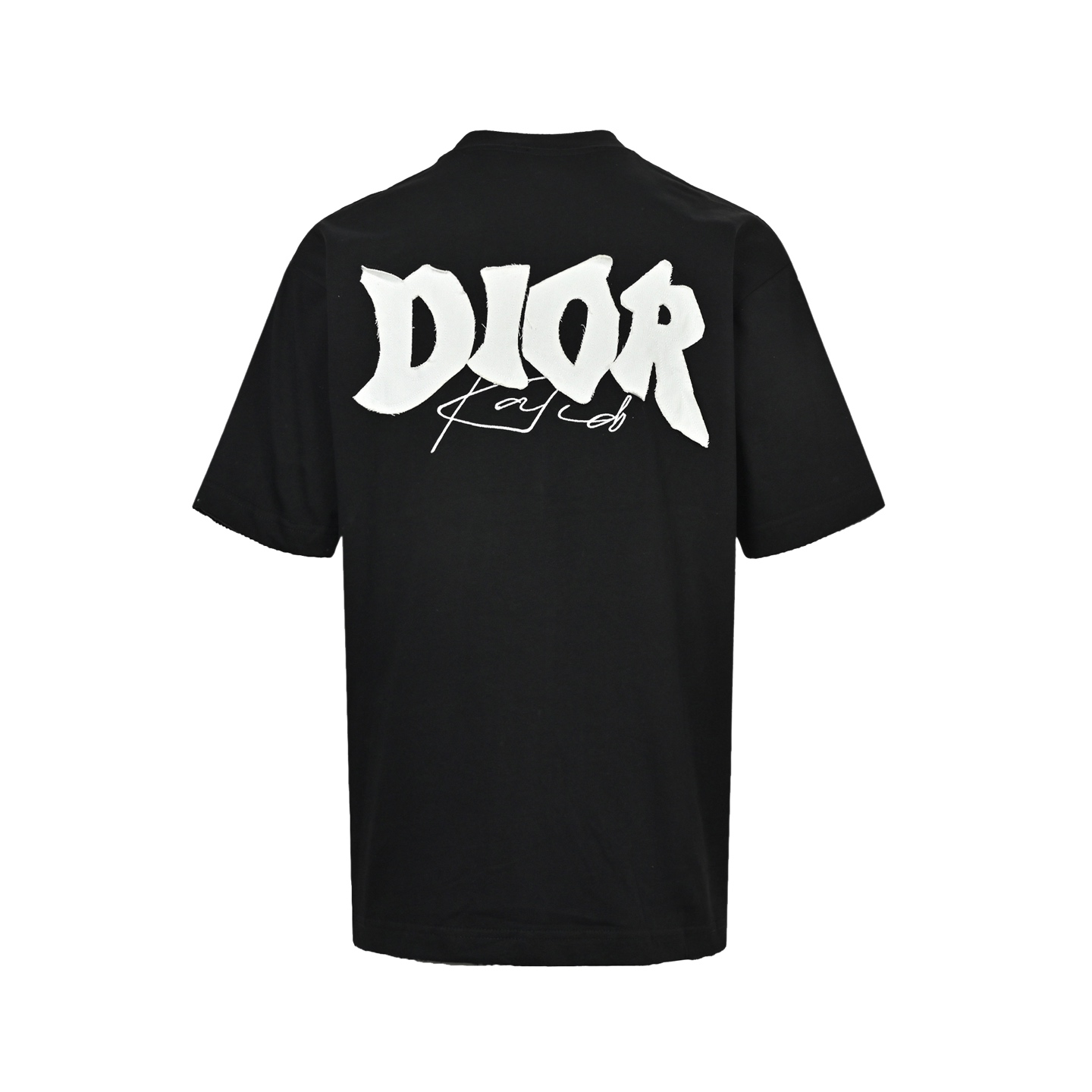 Dior/迪奥 26ss 字母logo贴布刺绣短袖