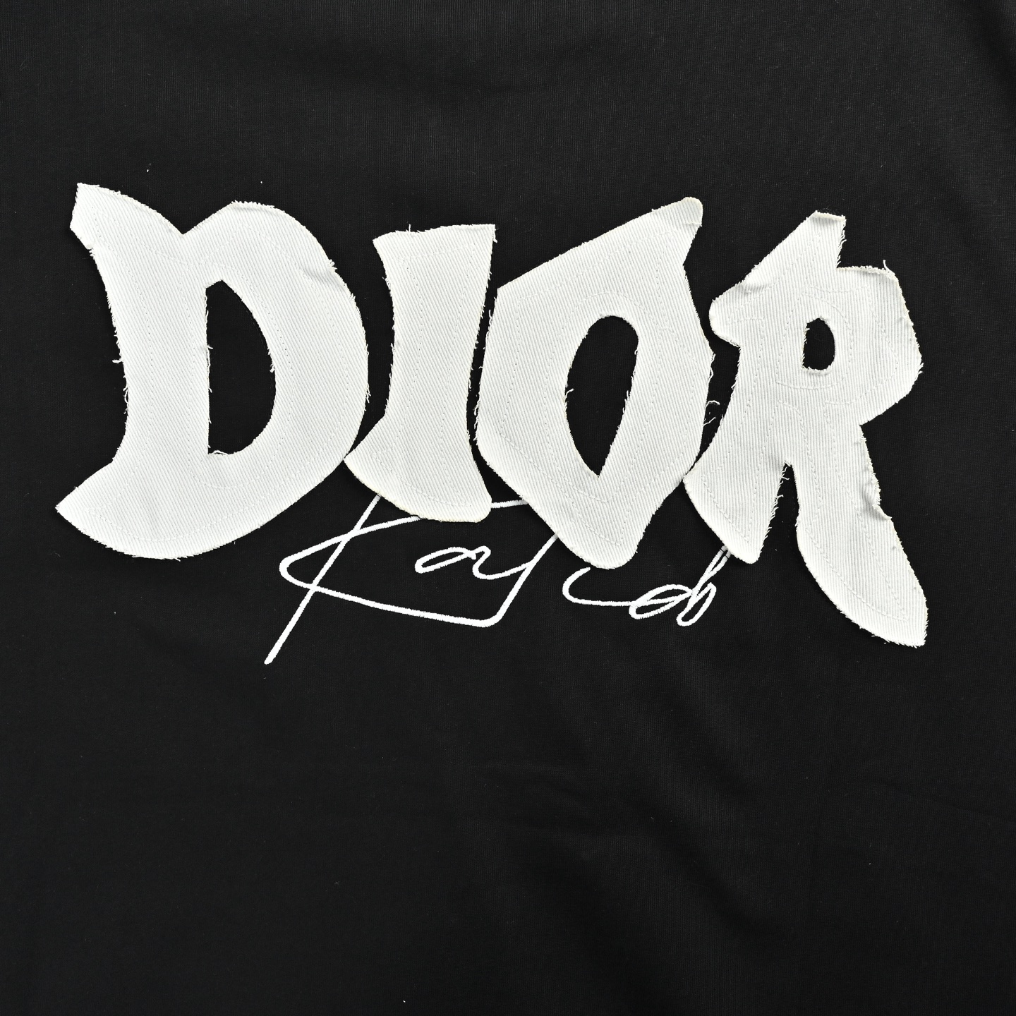 Dior/迪奥 26ss 字母logo贴布刺绣短袖