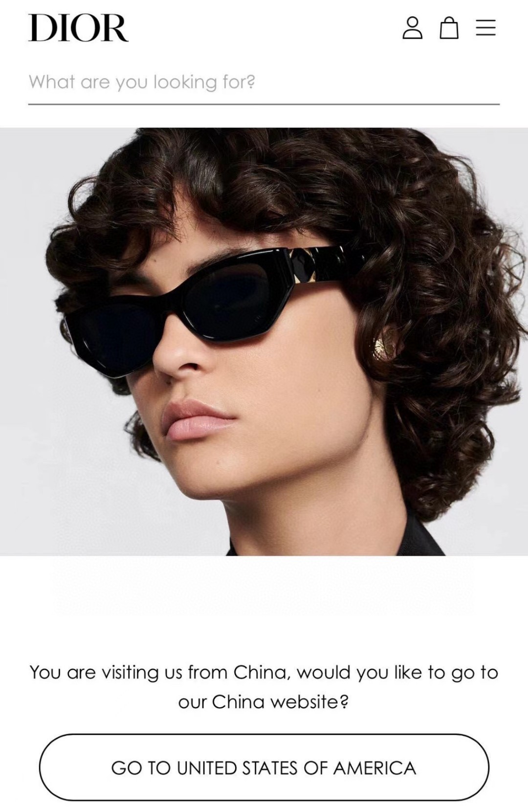 Dior Sunglasses Lady
