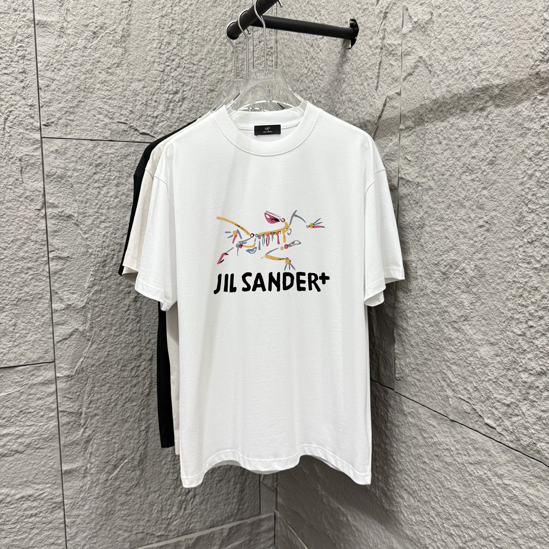 ARC'TERYX*Bird 2025 Primavera y verano nuevo estilo de moda Logotipo de patrón clásico personalizado Impresión de letra…