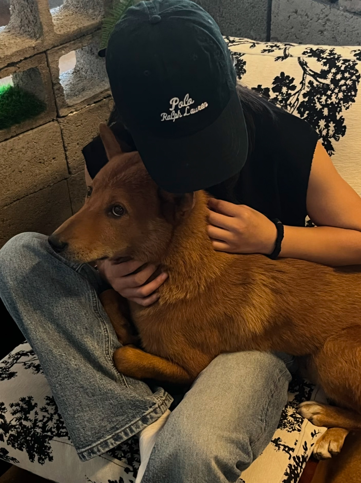 Бейсболка черная Polo Ralph Lauren