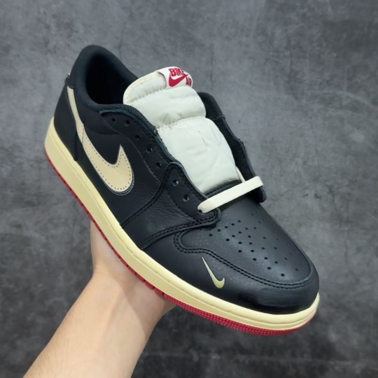 Nigel Sylvester x Jordan Air Jordan 1 Low OG Nitro 