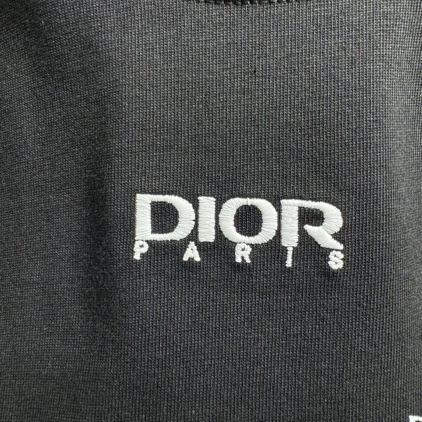 Dior 26ss Dior迪奥 早春新款圆领短袖 采用270克纯棉面料 网点印花 字母绣花工艺