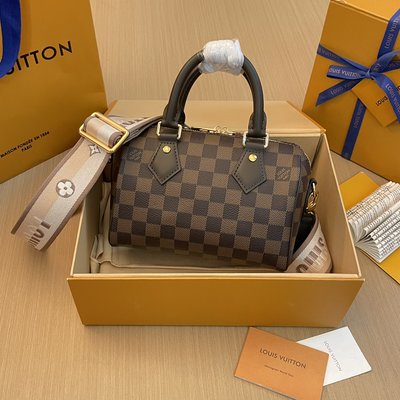 Louis Vuitton LV Speedy Bags Handbags Gold Weave Damier Ebene Canvas N40489