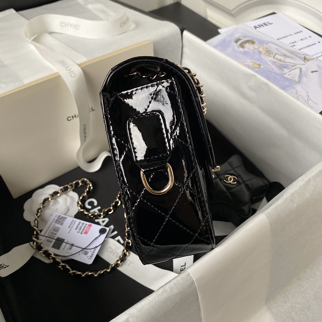 Chanel party C bag bag 6