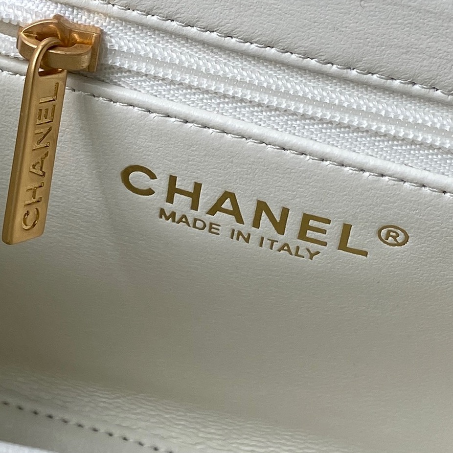 CHANEL Classic Flap with Top Handle bag