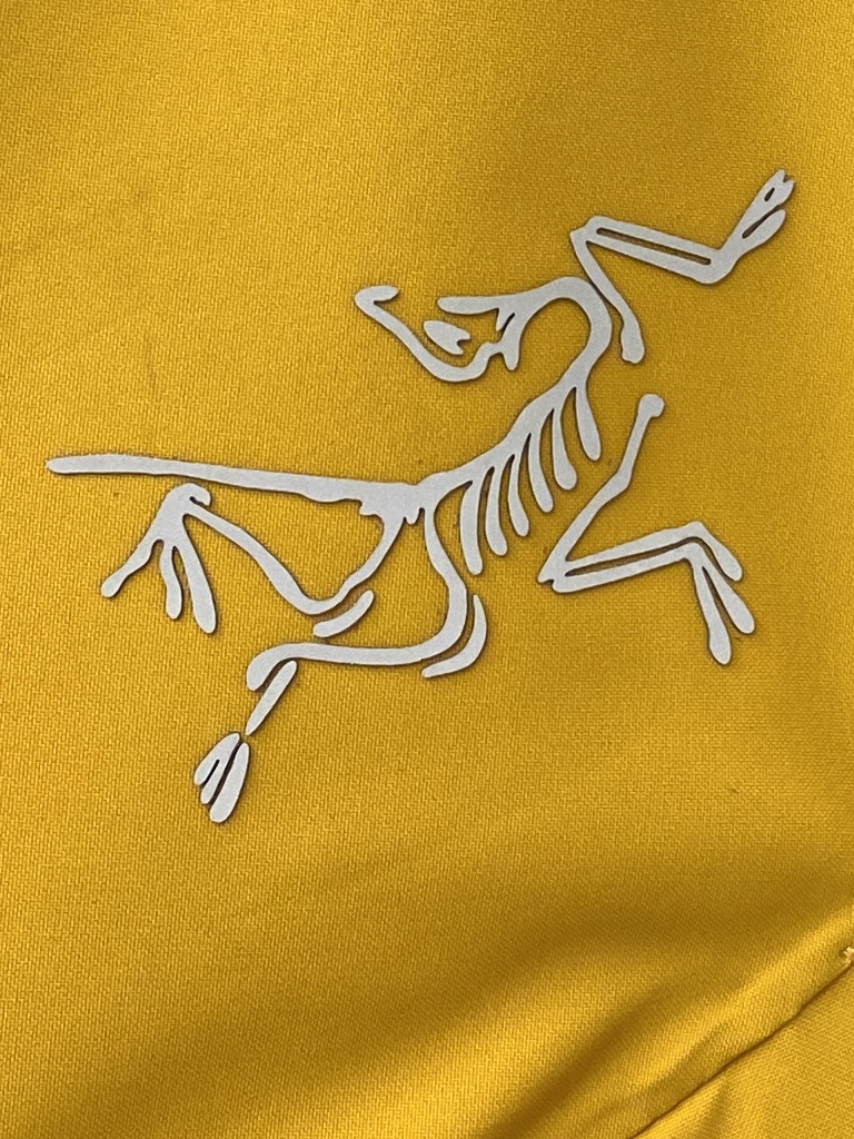  始祖鸟、新品可拆卸羽绒夹克外套，时尚帅气，胸前顶级印胶图案logo，简约百搭款，定制原版面料，不仅挺括