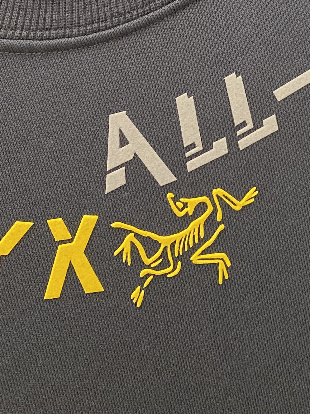 
始祖鸟、新品卫衣，帅气时尚，领口顶级印胶印花图案字母logo，简约百搭款。面料棉 不仅挺括，保持潮流的