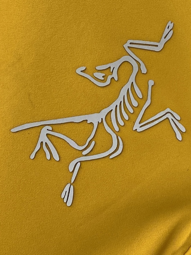  始祖鸟、新品可拆卸羽绒夹克外套，时尚帅气，胸前顶级印胶图案logo，简约百搭款，定制原版面料，不仅挺括