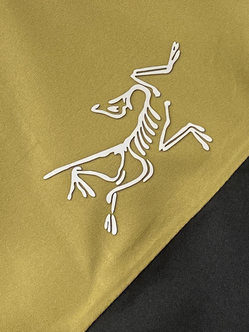  始祖鸟、新品可拆卸羽绒夹克外套，时尚帅气，胸前顶级印花图案logo，简约百搭款，定制原版面料，不仅挺括