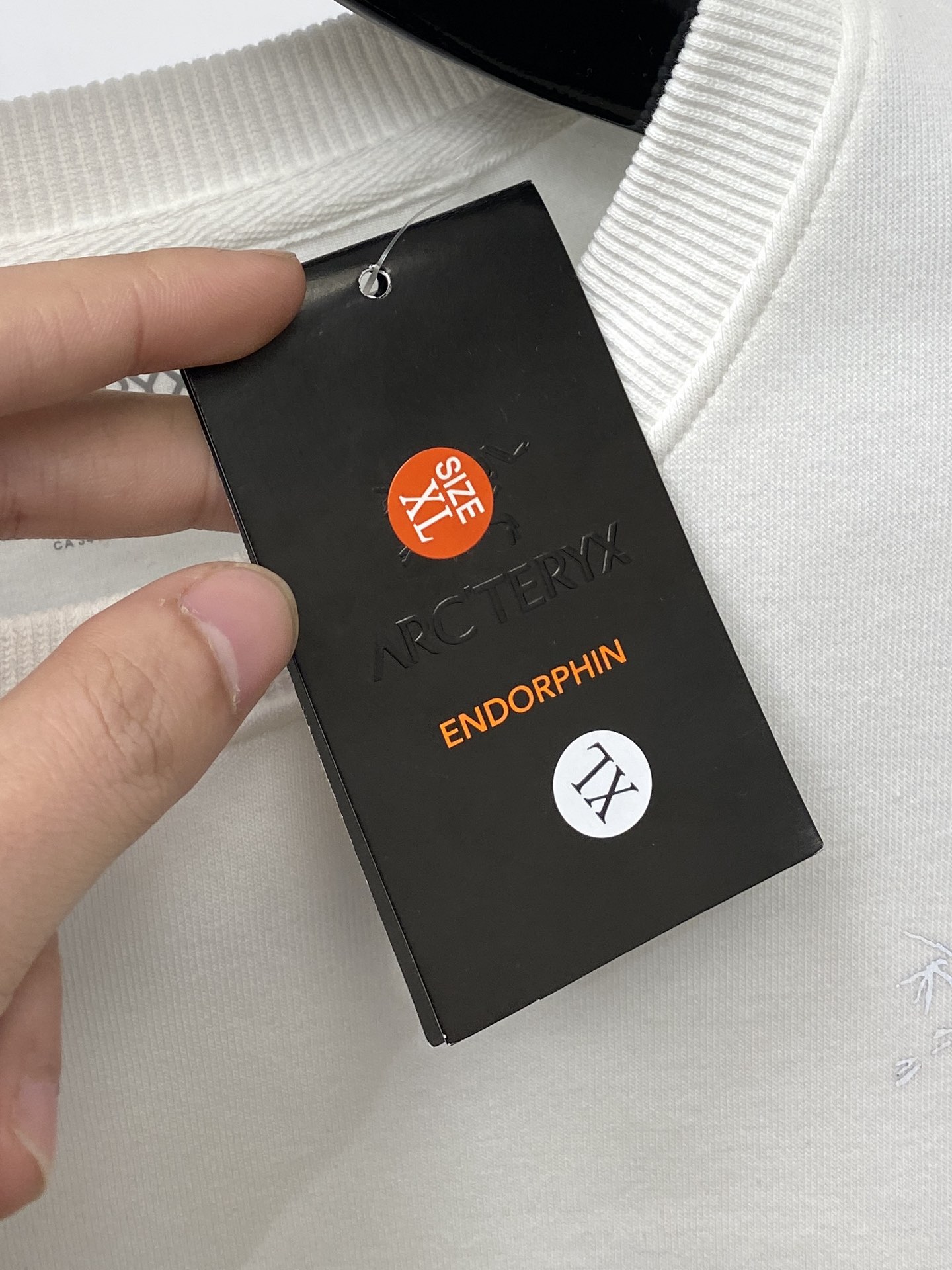 始祖鸟、2024新品卫衣，帅气时尚，胸前顶级印花图案logo，简约百搭款。面料棉 不仅挺括，保持潮流的廓