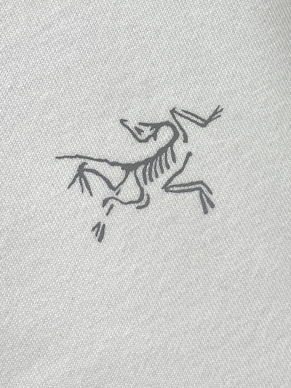 始祖鸟、2024新品卫衣，帅气时尚，胸前顶级印花图案logo，简约百搭款。面料棉 不仅挺括，保持潮流的廓