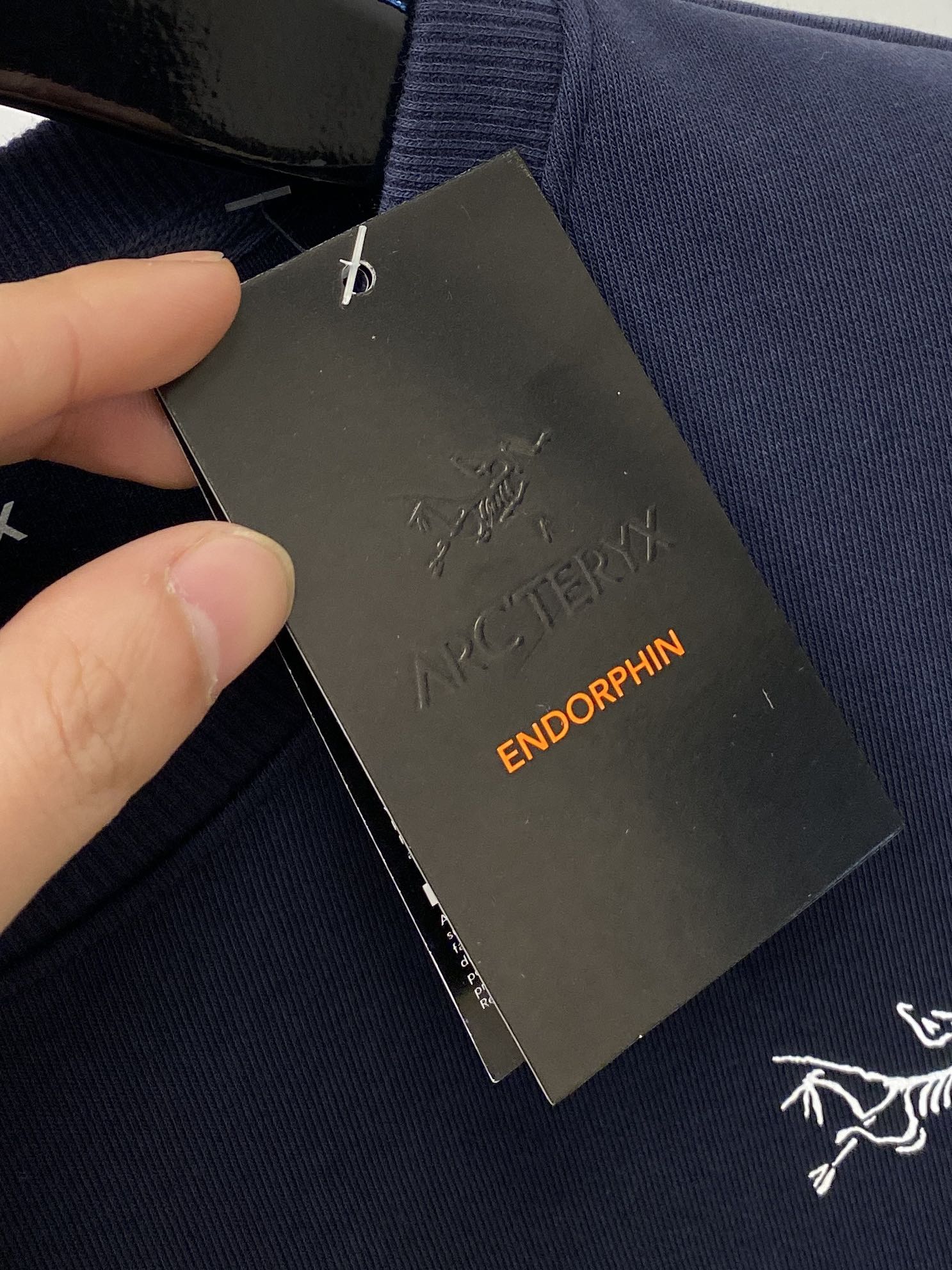 始祖鸟、2024新品卫衣，帅气时尚，胸前顶级印花图案logo，简约百搭款。面料棉 不仅挺括，保持潮流的廓