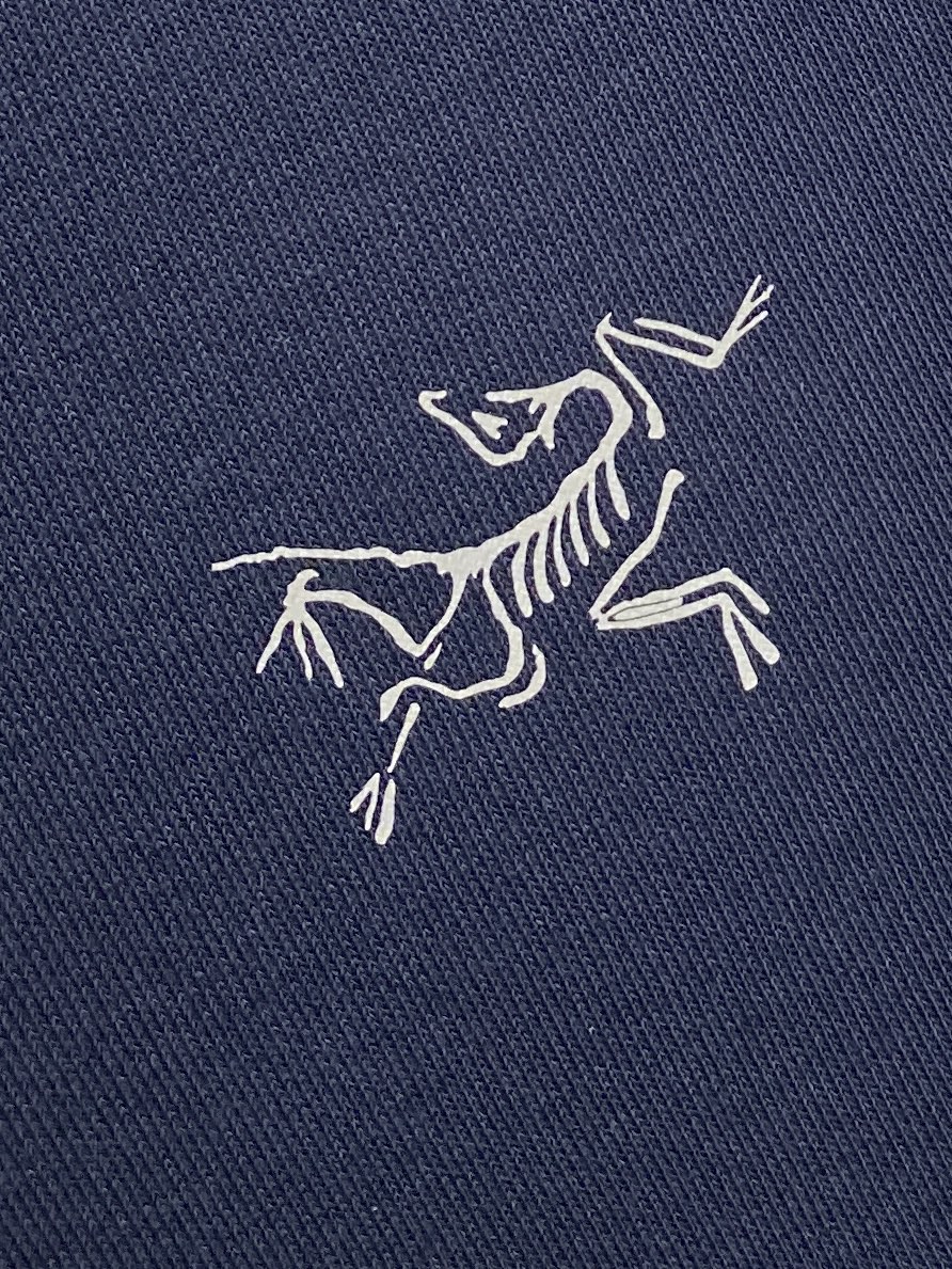 始祖鸟、2024新品卫衣，帅气时尚，胸前顶级印花图案logo，简约百搭款。面料棉 不仅挺括，保持潮流的廓