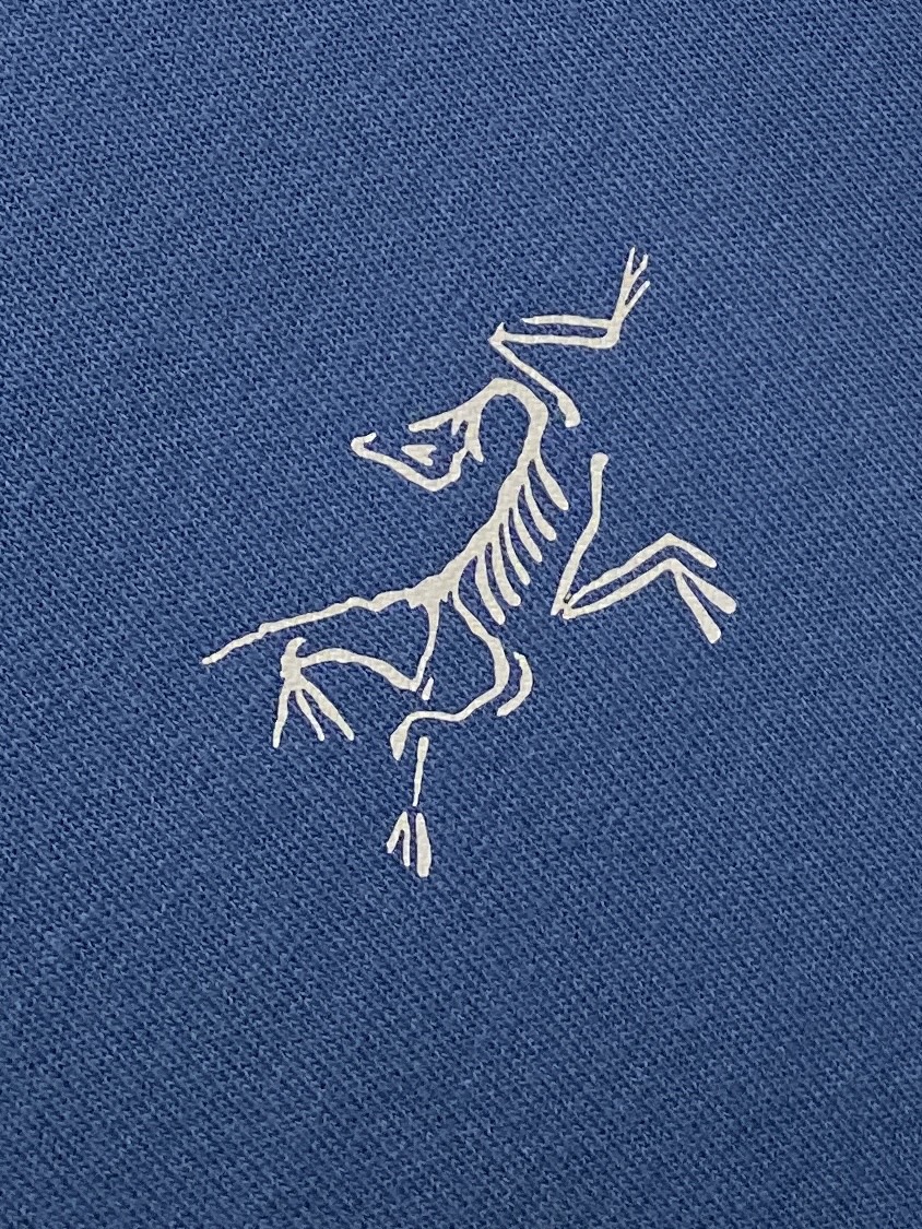 始祖鸟、2024新品卫衣，帅气时尚，胸前顶级印花图案logo，简约百搭款。面料棉 不仅挺括，保持潮流的廓