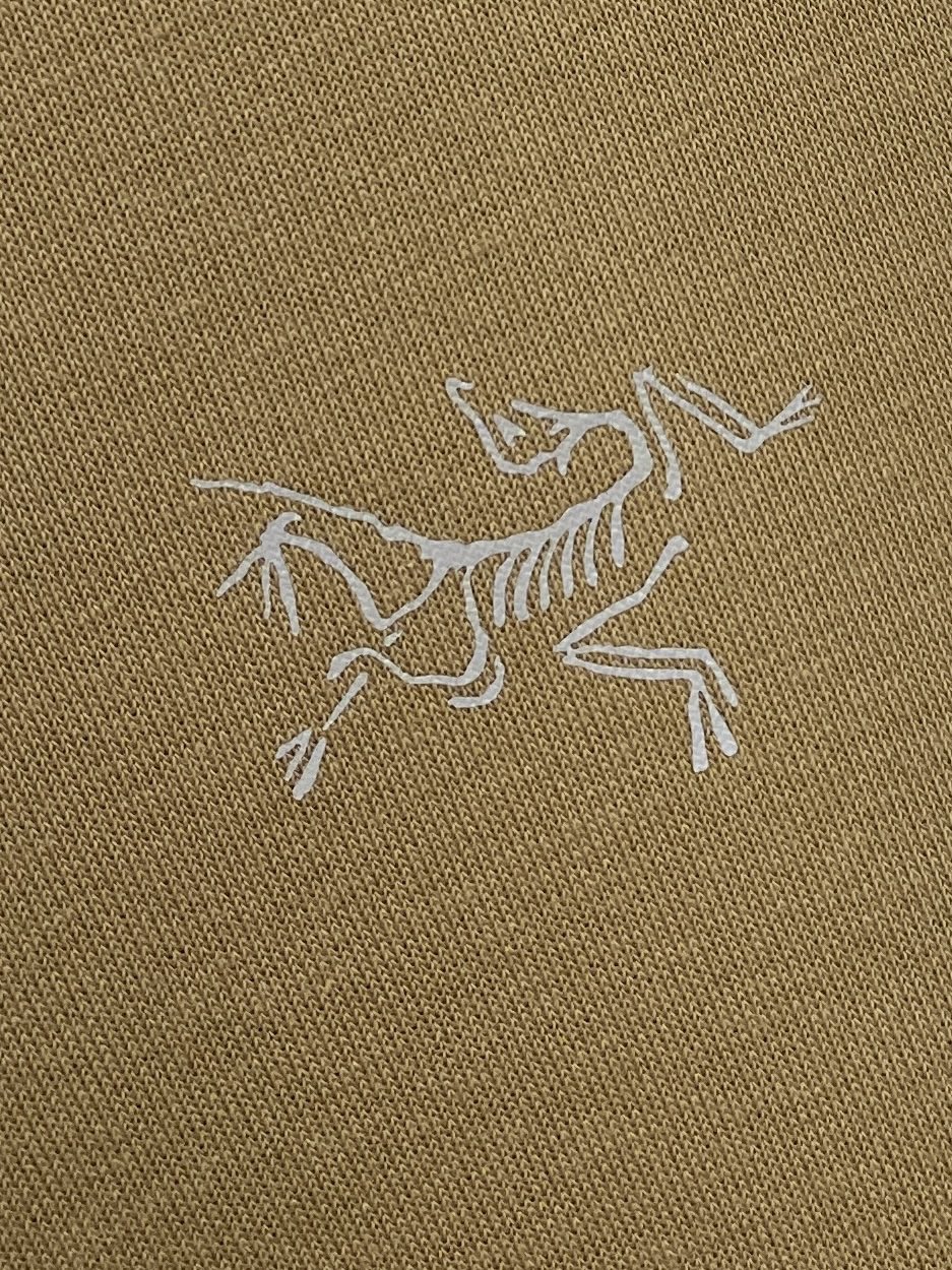 始祖鸟、2024新品卫衣，帅气时尚，胸前顶级印花图案logo，简约百搭款。面料棉 不仅挺括，保持潮流的廓