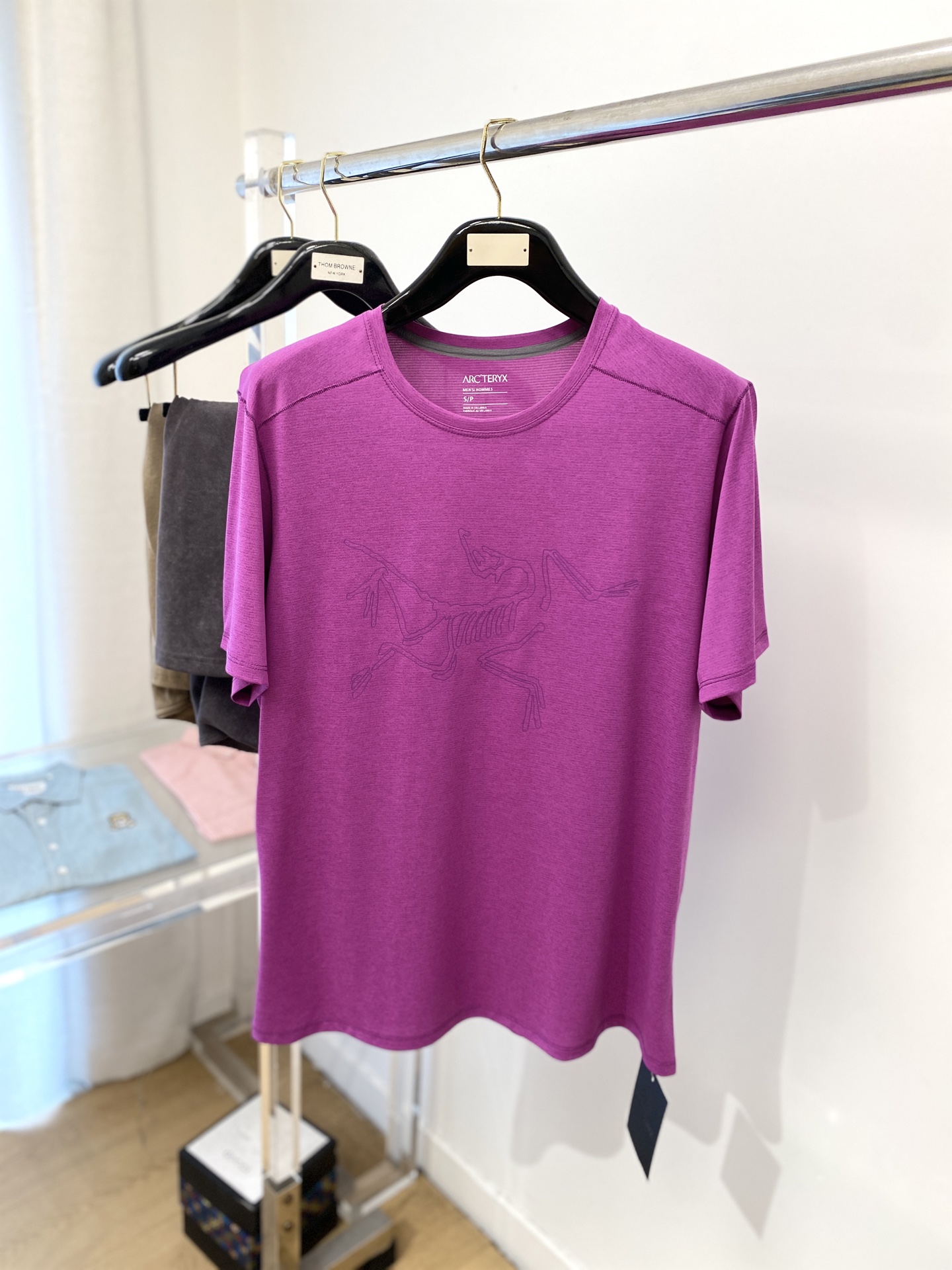 NO:161970,Archaeoptera Bird, the latest short-sleeved T-shirt in 2025, handsome and fashionable, top-grade printed pattern logo on the chest, simple and versatile style. Fabric cotton is not only crisp, maintains a fashionable silhouette, but also comfortable to wear, and the yarn is more delicate, the number of codes XS-L, arc'teryx, T-shirt,tees, t-shirt, alexander wang19860909始祖鸟、2025最新款短袖T恤,帅气时尚,胸前顶级印花图案logo,简约百搭款.面料棉 不仅挺括,保持潮流的廓形,又穿着舒适,纱织更细腻,码数XS-L,arc'teryx,T-shirt,tees，t-shirt,alexander wang,Men's clothing