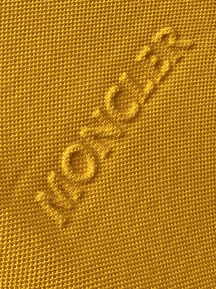 蒙口、2025最新款短袖T恤，帅气时尚，胸前设计凹凸字母logo，简约百搭款。面料棉 不仅挺括，保持潮流