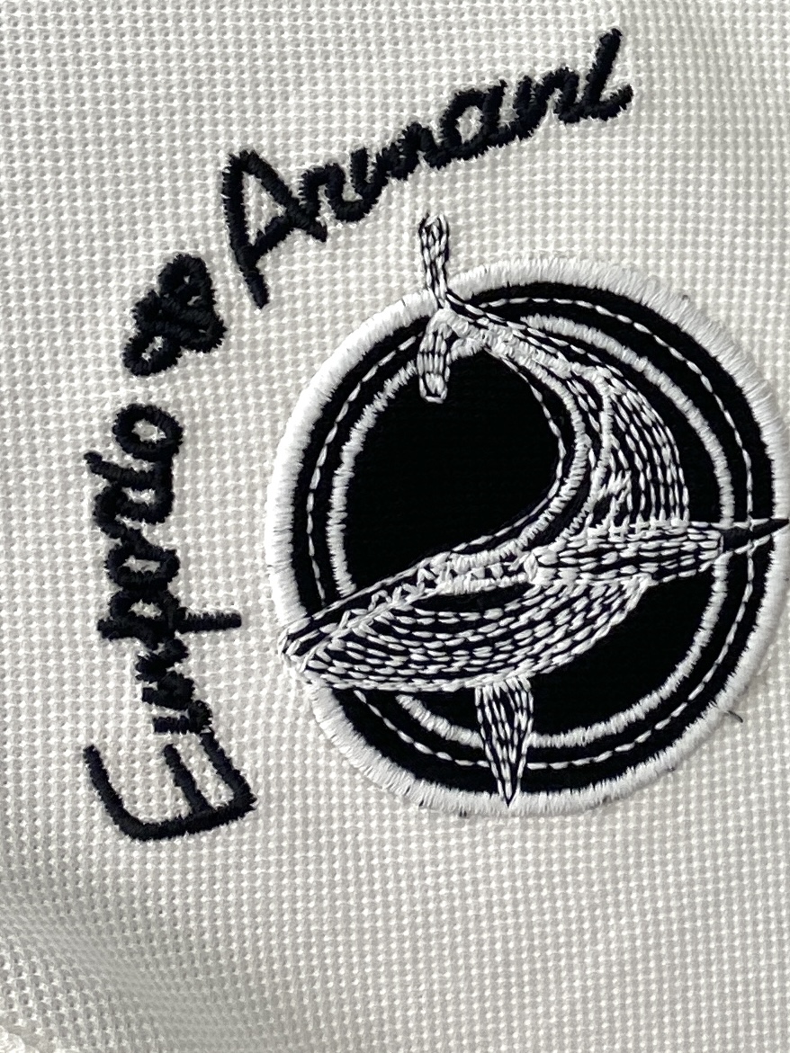 阿玛尼、2025最新款短袖T恤，帅气时尚，胸前精致刺绣字母图案logo，简约百搭款。面料棉 不仅挺括，保