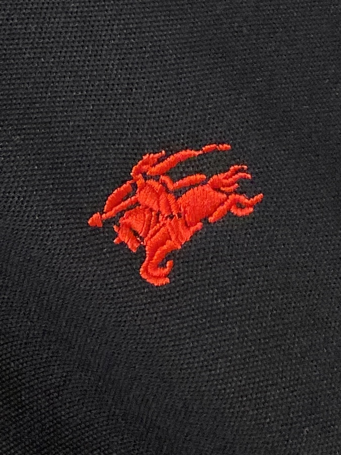 巴宝莉、2025新品短袖T恤，帅气时尚，胸前精致刺绣图案logo，简约百搭款。面料棉 不仅挺括，保持潮流