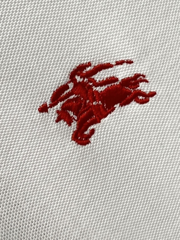 巴宝莉、2025新品短袖T恤，帅气时尚，胸前精致刺绣图案logo，简约百搭款。面料棉 不仅挺括，保持潮流