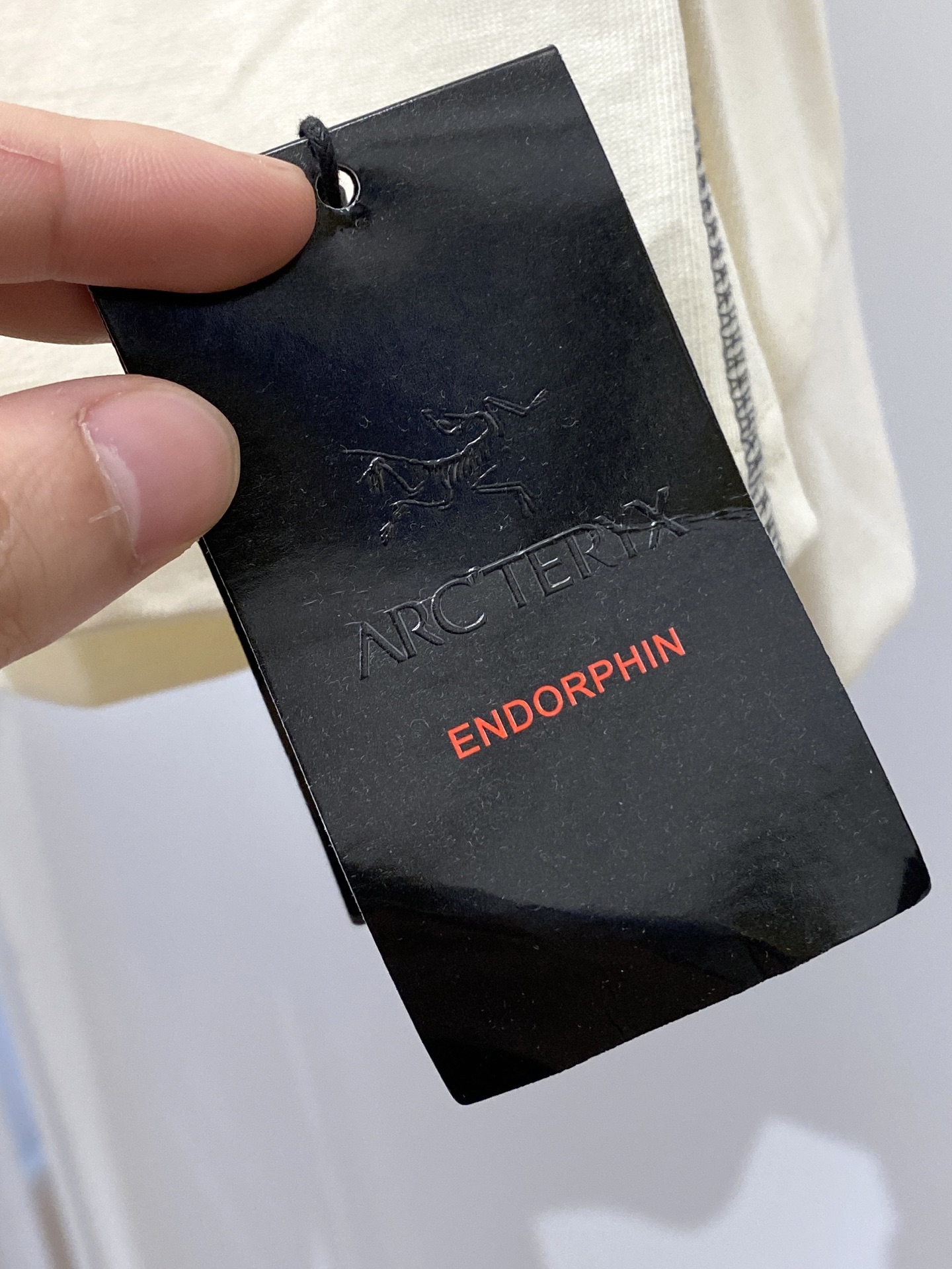 始祖鸟、2025新品长袖卫衣，帅气时尚，简约百搭款。袖口顶级印花字母logo，面料棉 不仅挺括，保持潮流