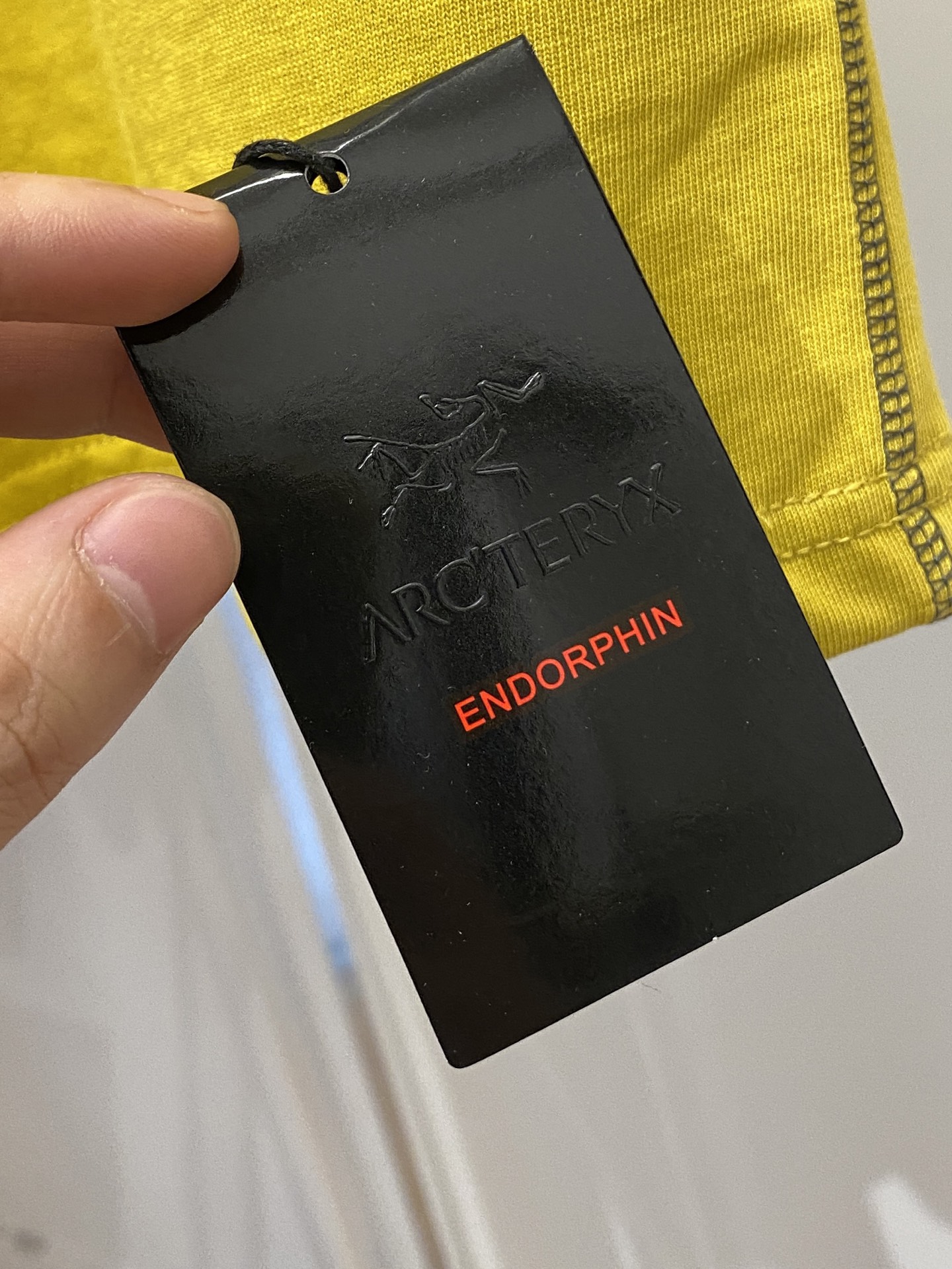 始祖鸟、2025新品长袖卫衣，帅气时尚，简约百搭款。袖口顶级印花字母logo，面料棉 不仅挺括，保持潮流