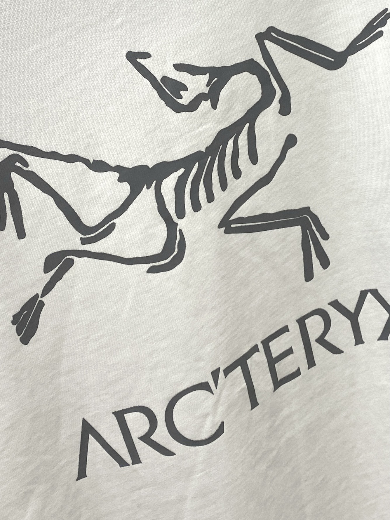 始祖鸟、2025新品长袖卫衣，帅气时尚，简约百搭款。袖口顶级印花字母logo，面料棉 不仅挺括，保持潮流