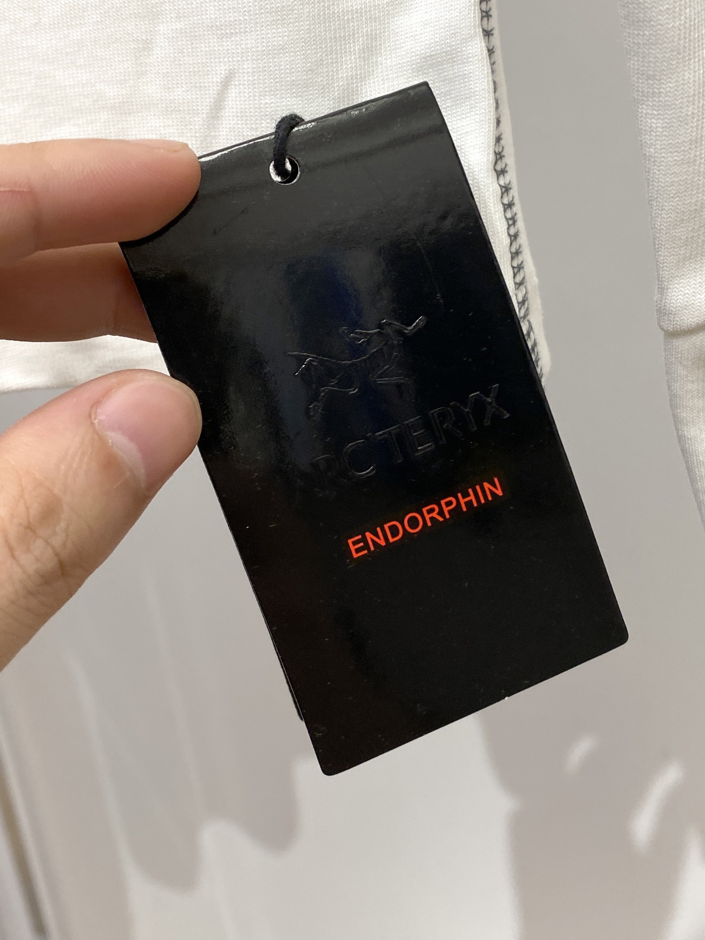 始祖鸟、2025新品长袖卫衣，帅气时尚，简约百搭款。袖口顶级印花字母logo，面料棉 不仅挺括，保持潮流