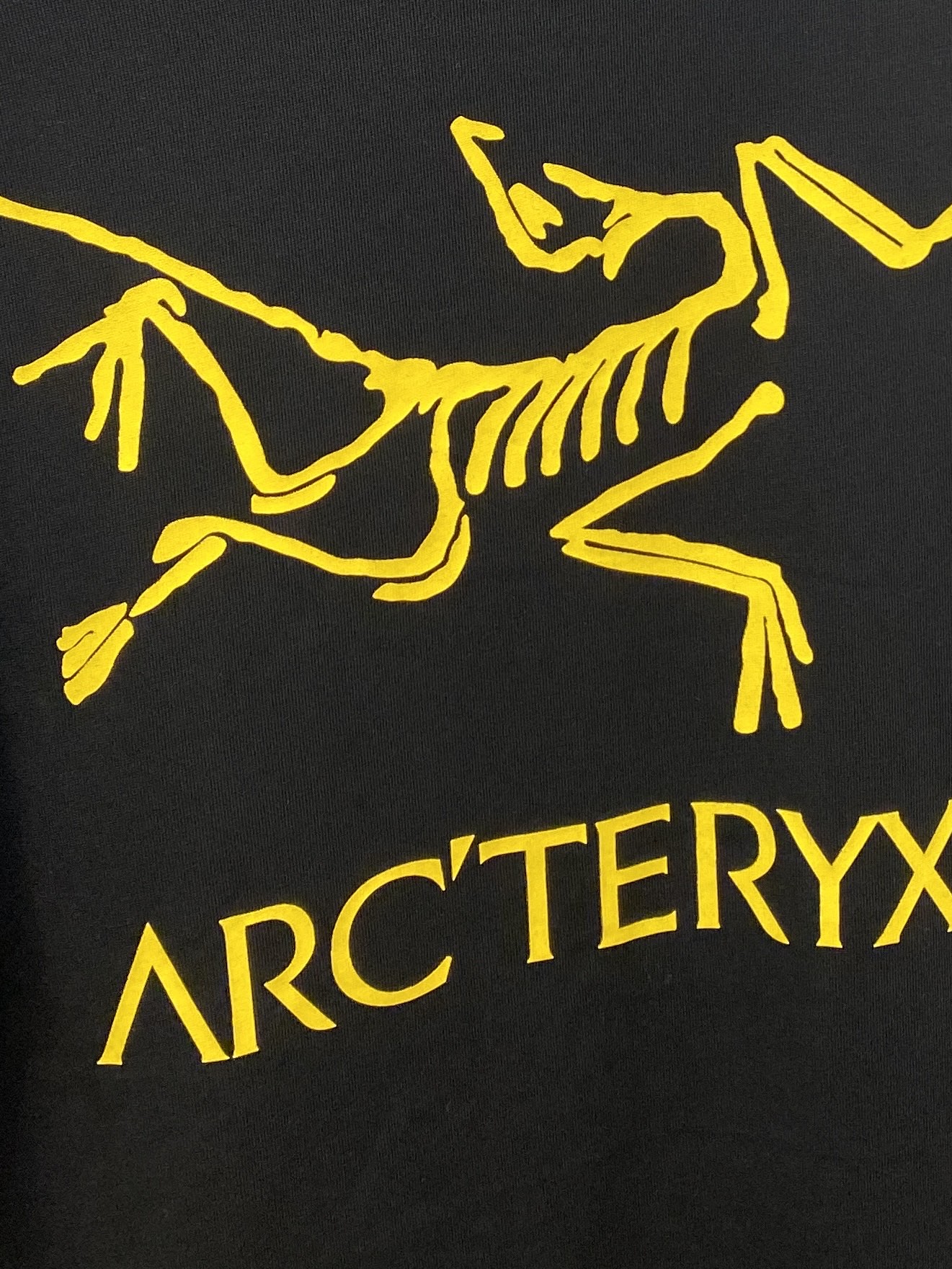 始祖鸟、2025新品长袖卫衣，帅气时尚，简约百搭款。袖口顶级印花字母logo，面料棉 不仅挺括，保持潮流