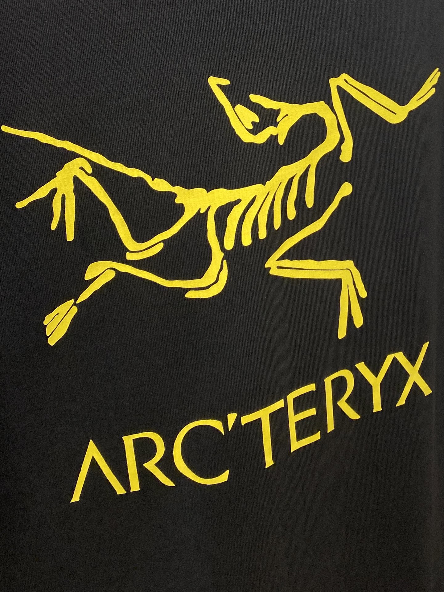 始祖鸟、2025新品长袖卫衣，帅气时尚，简约百搭款。袖口顶级印花字母logo，面料棉 不仅挺括，保持潮流