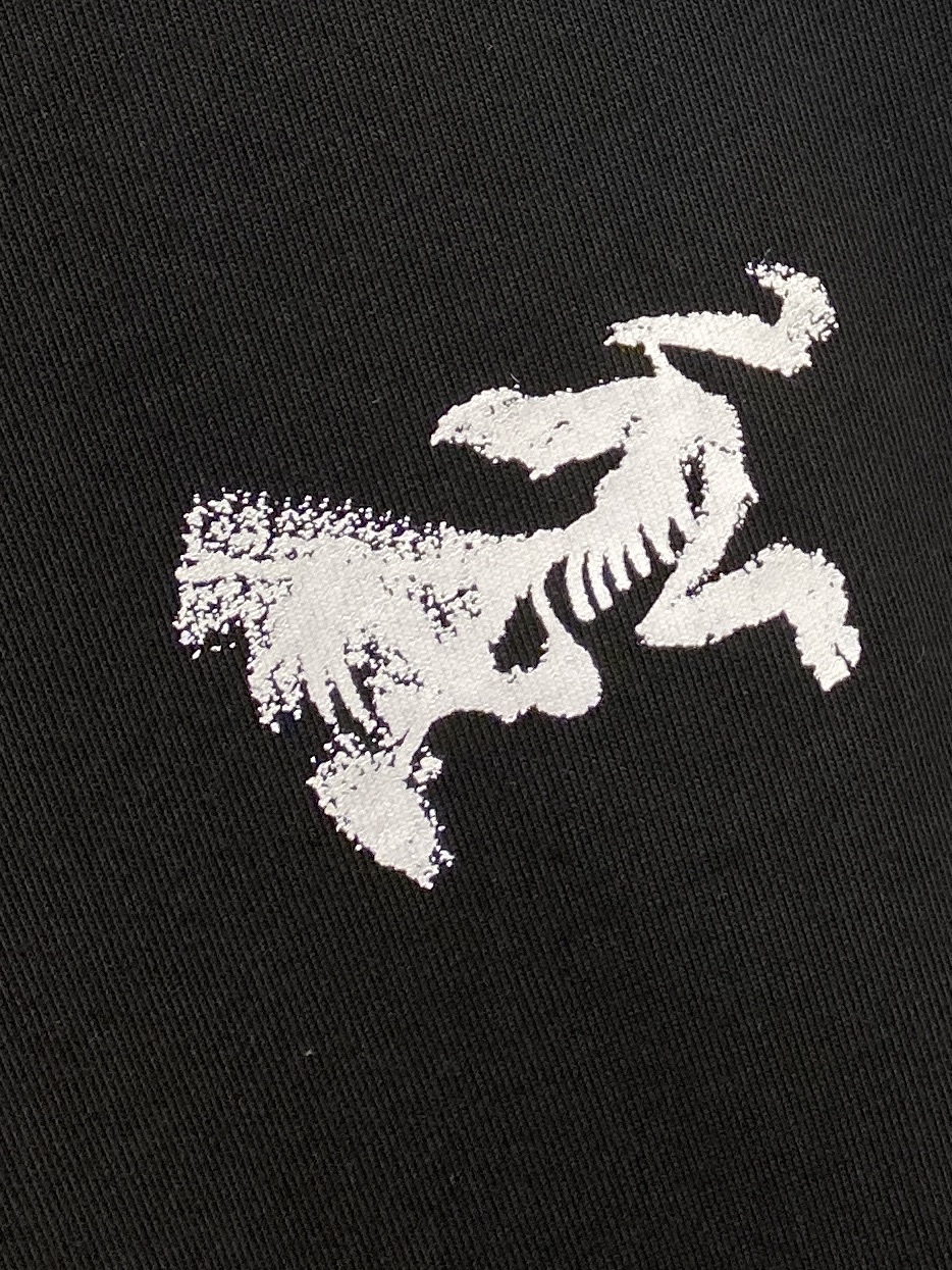 始祖鸟、2025新品长袖卫衣，帅气时尚，简约百搭款。胸前顶级印花图案logo，面料棉 不仅挺括，保持潮流