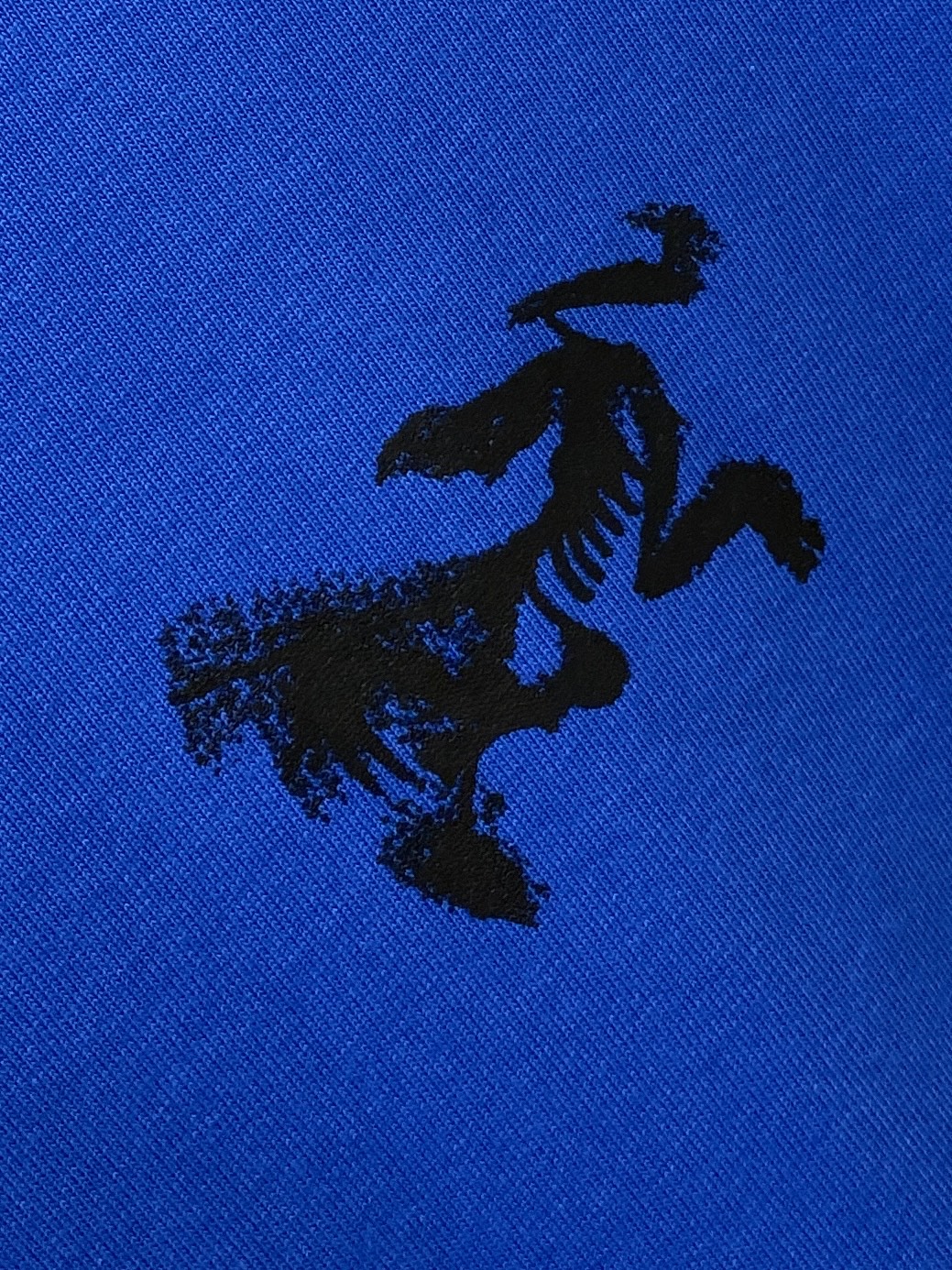 始祖鸟、2025新品长袖卫衣，帅气时尚，简约百搭款。胸前顶级印花图案logo，面料棉 不仅挺括，保持潮流