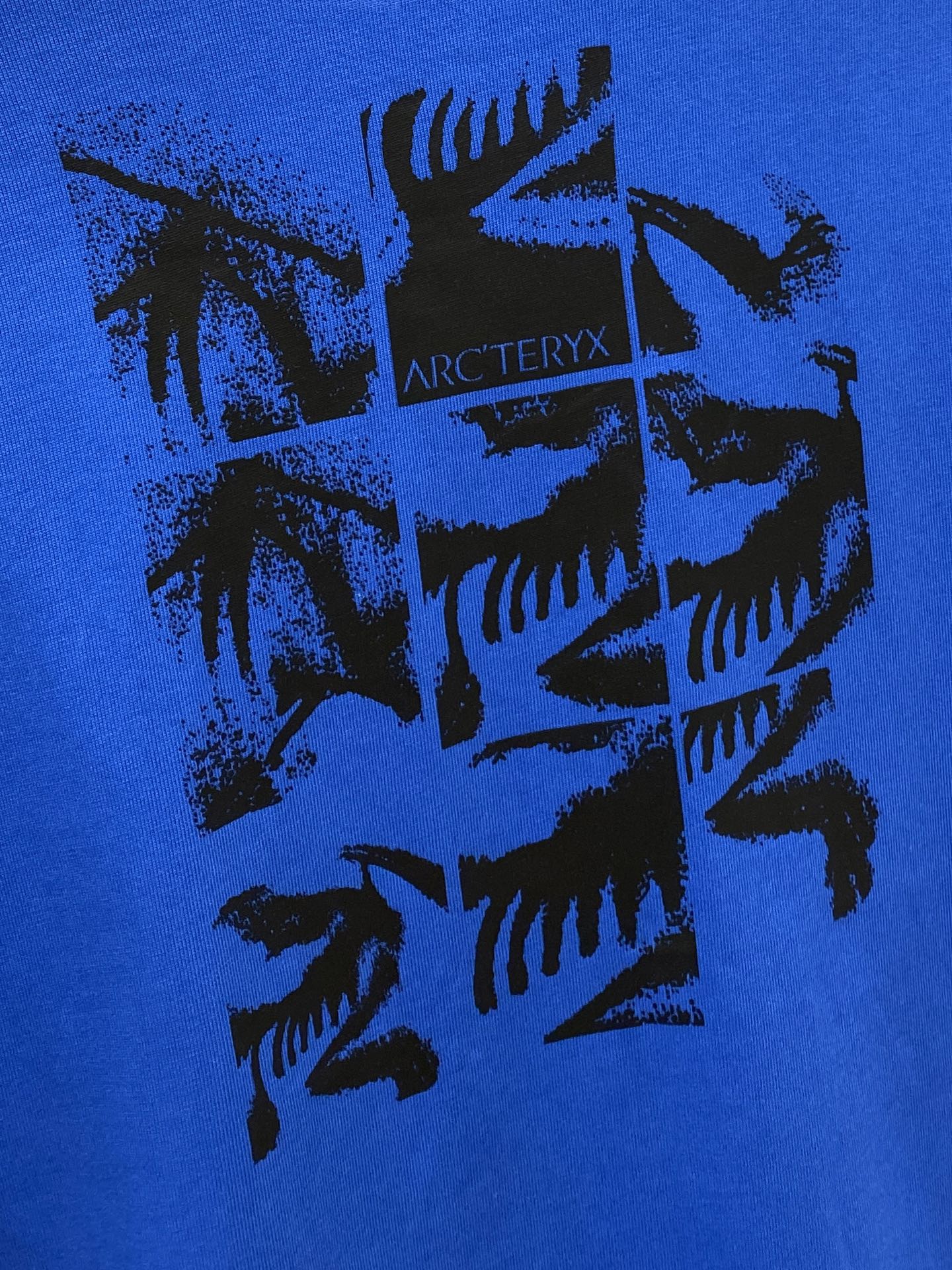 始祖鸟、2025新品长袖卫衣，帅气时尚，简约百搭款。胸前顶级印花图案logo，面料棉 不仅挺括，保持潮流