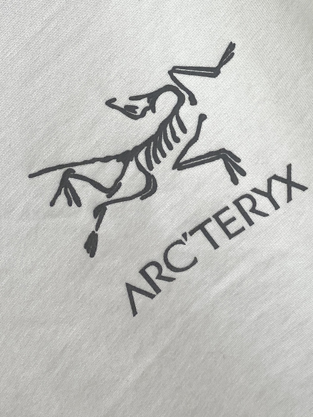 始祖鸟、2025新品长袖卫衣，帅气时尚，简约百搭款。胸前顶级印花图案字母logo，面料棉 不仅挺括，保持