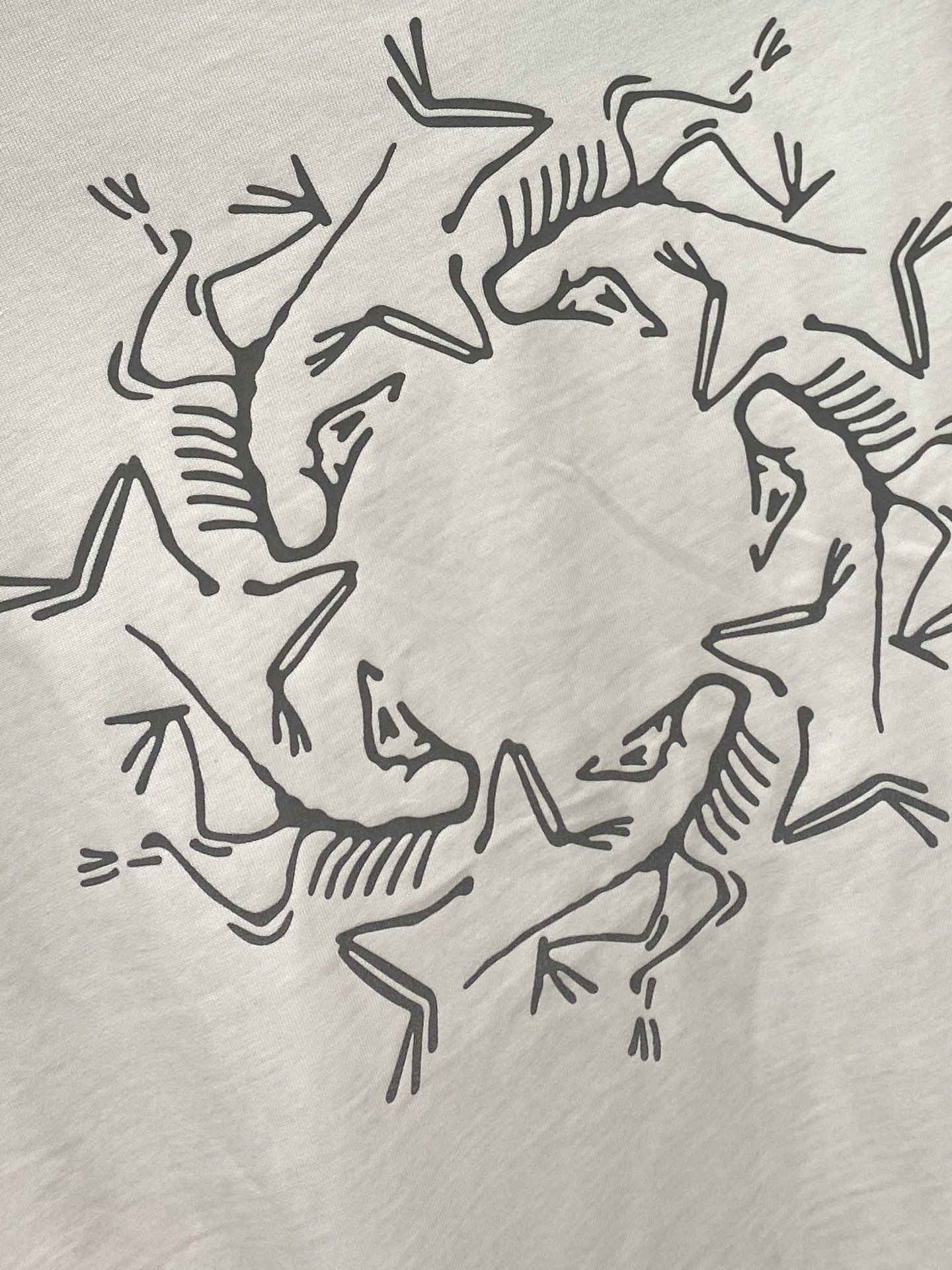 始祖鸟、2025新品长袖卫衣，帅气时尚，简约百搭款。胸前顶级印花图案字母logo，面料棉 不仅挺括，保持