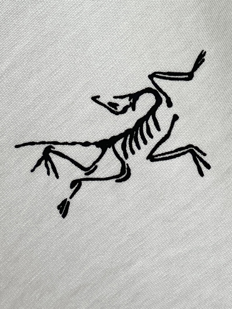 始祖鸟、2025新品长袖卫衣，帅气时尚，简约百搭款。胸前顶级印花图案logo，面料棉 不仅挺括，保持潮流