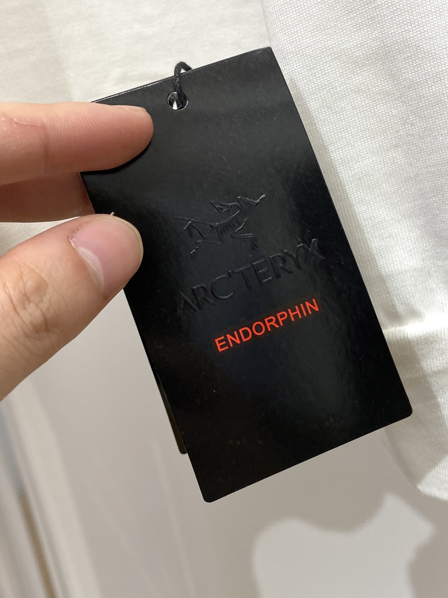 始祖鸟、2025新品长袖卫衣，帅气时尚，简约百搭款。胸前顶级印花图案logo，面料棉 不仅挺括，保持潮流