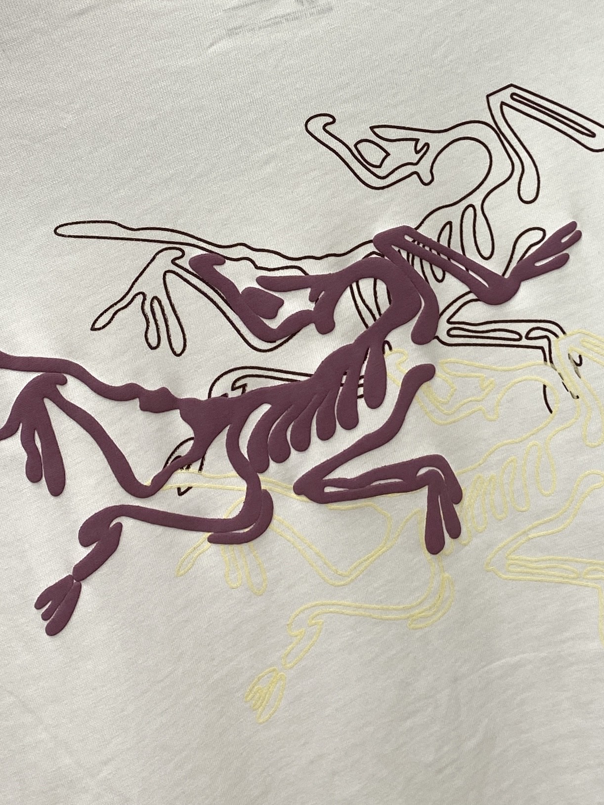 始祖鸟、2025新品长袖卫衣，帅气时尚，简约百搭款。胸前顶级印花字母logo，面料棉 不仅挺括，保持潮流