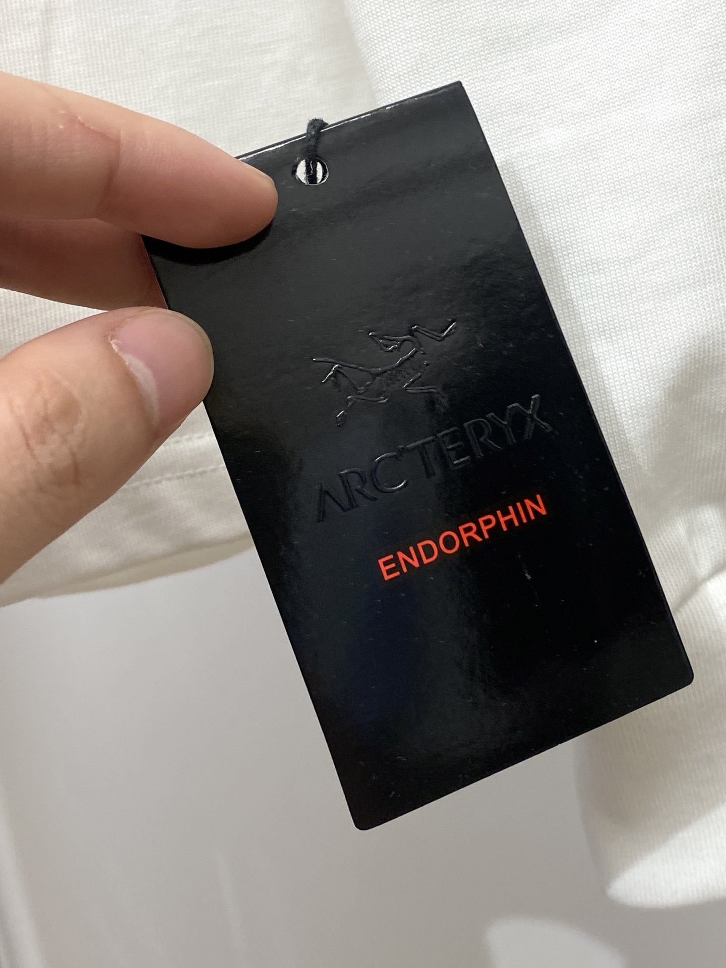 始祖鸟、2025新品长袖卫衣，帅气时尚，简约百搭款。胸前顶级印花字母logo，面料棉 不仅挺括，保持潮流